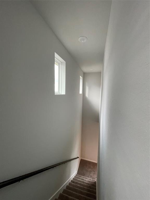 Building Photo - 2406 Amara Levi Ln
