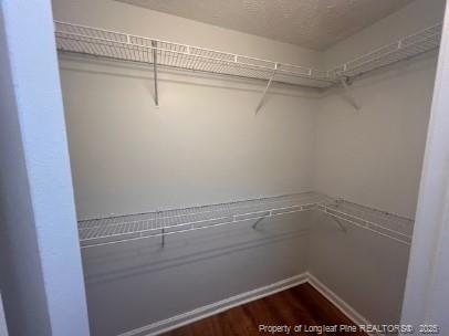 Building Photo - 513 Meadowland Ct