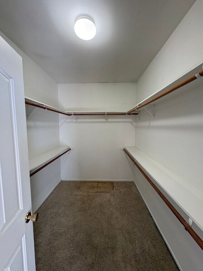 Building Photo - 1523 E Monte Vista Ct