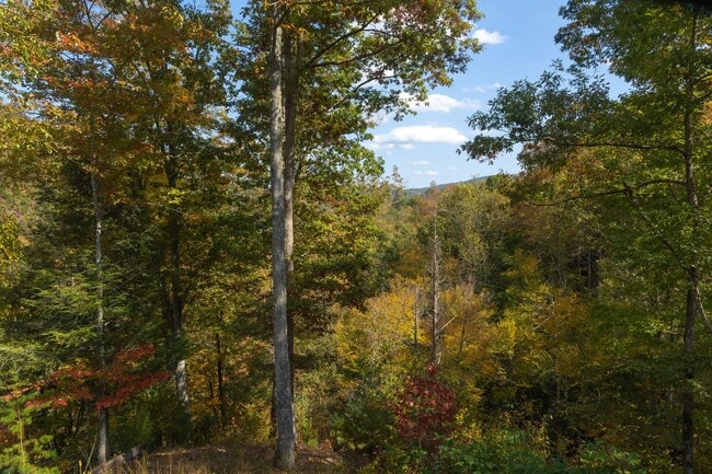 Building Photo - PEACEFUL LIVING.....SECLUSION