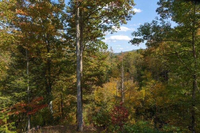 Building Photo - PEACEFUL LIVING.....SECLUSION! Move in ready!!!