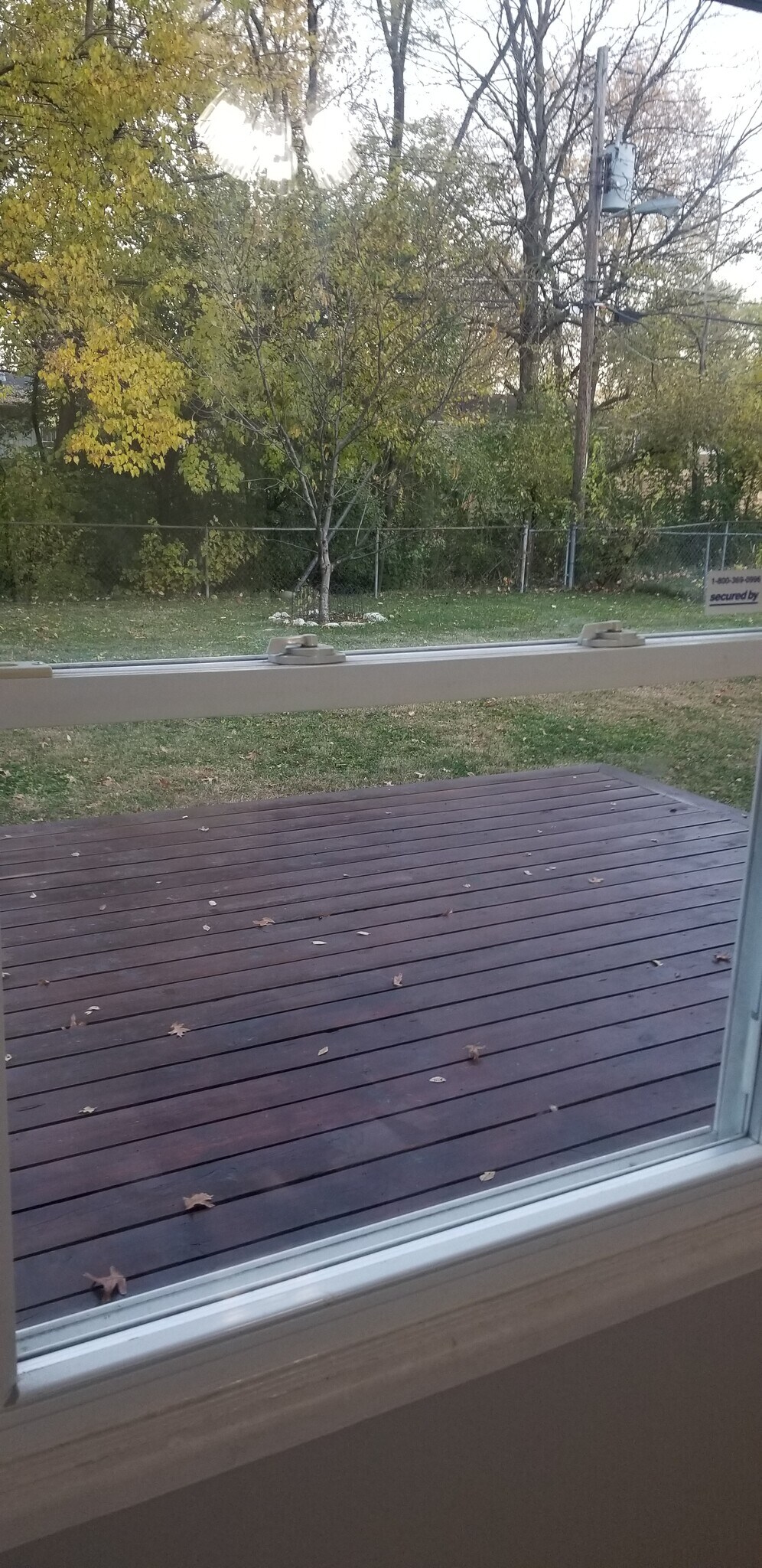 Back yard and Deck - 3719 Gerrard Ave