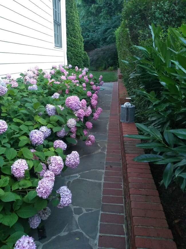 Building Photo - 302 Rucker Pl