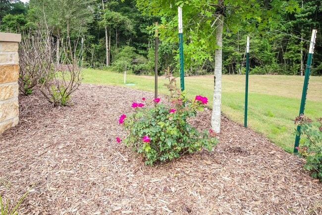 Building Photo - 25314 Shadowdale Dr