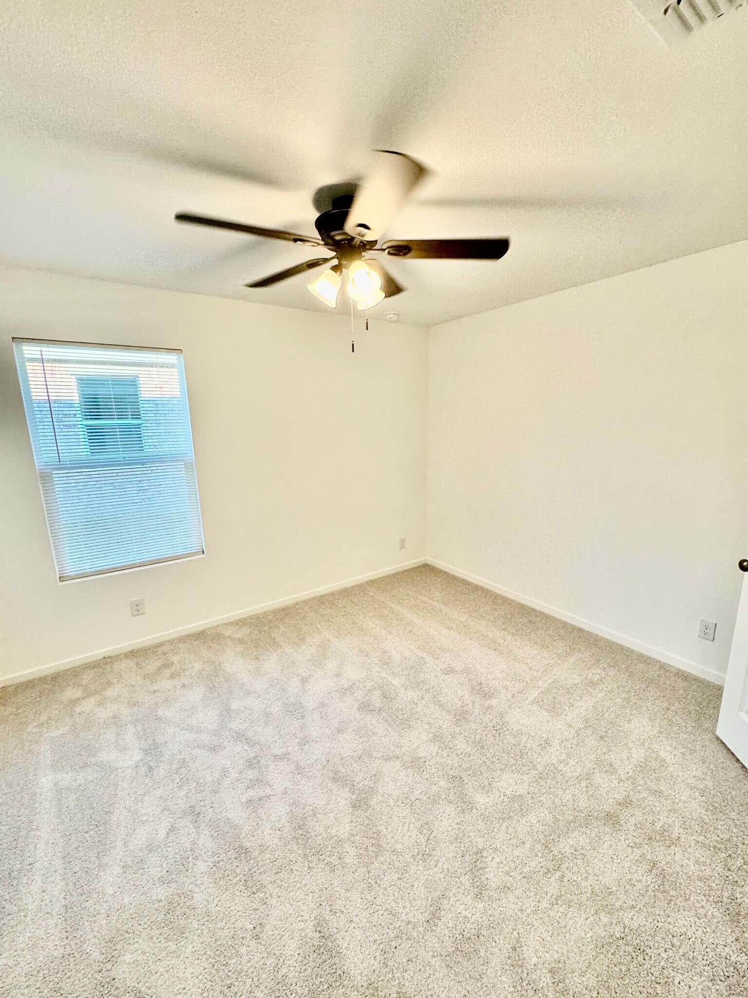 Building Photo - 1104 Barbary Fields St