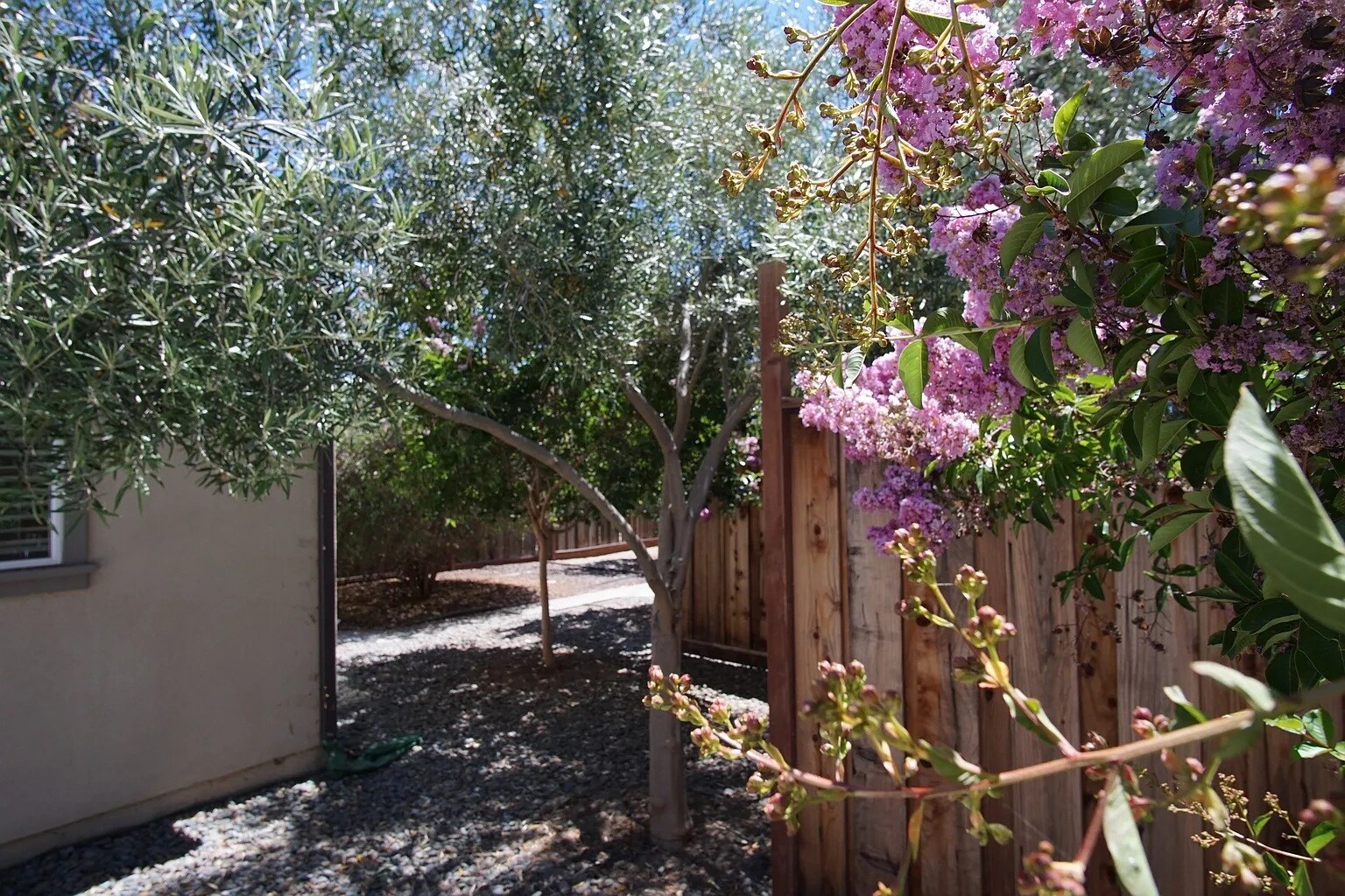 Building Photo - 2498 Amaryl Dr