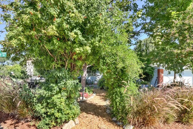 Building Photo - Charming 3 bed 1 bath home in Davis