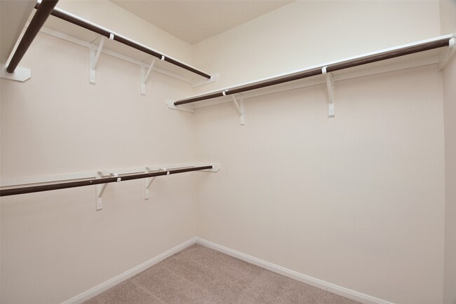 Building Photo - 3502 Broadknoll Ln
