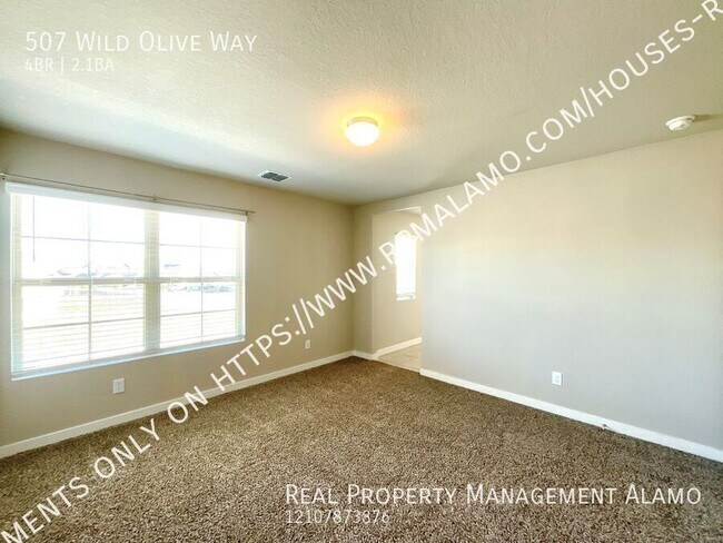 Building Photo - 507 Wild Olive Wy