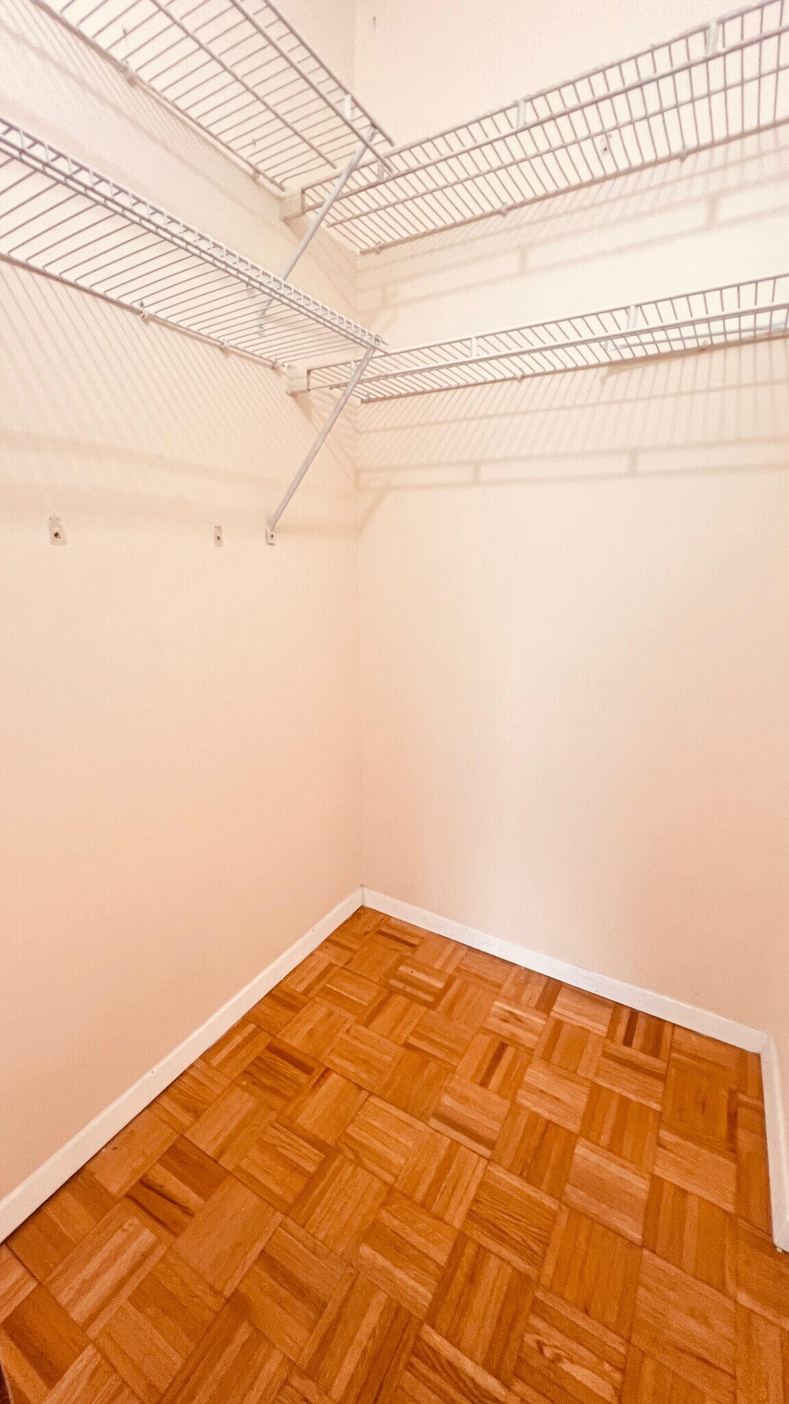 Living Room Walk-in Closet - 45 river drive south