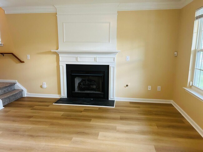 Family Room - 373 Indian Branch Dr