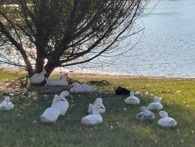 Building Photo - 7414 Evelyn Grv Dr