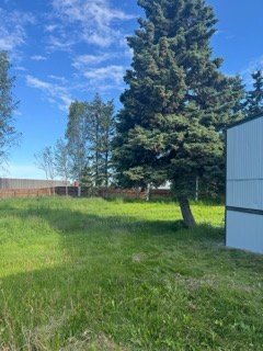 Building Photo - 9499 Brayton Dr
