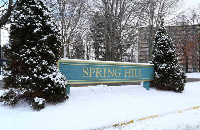 Building Photo - Springhill Townhomes