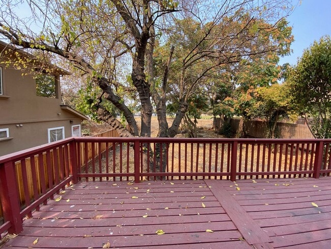 Building Photo - Little cottage nestled in a street surrounded with natural setting in Fremont Niles area , Availa...