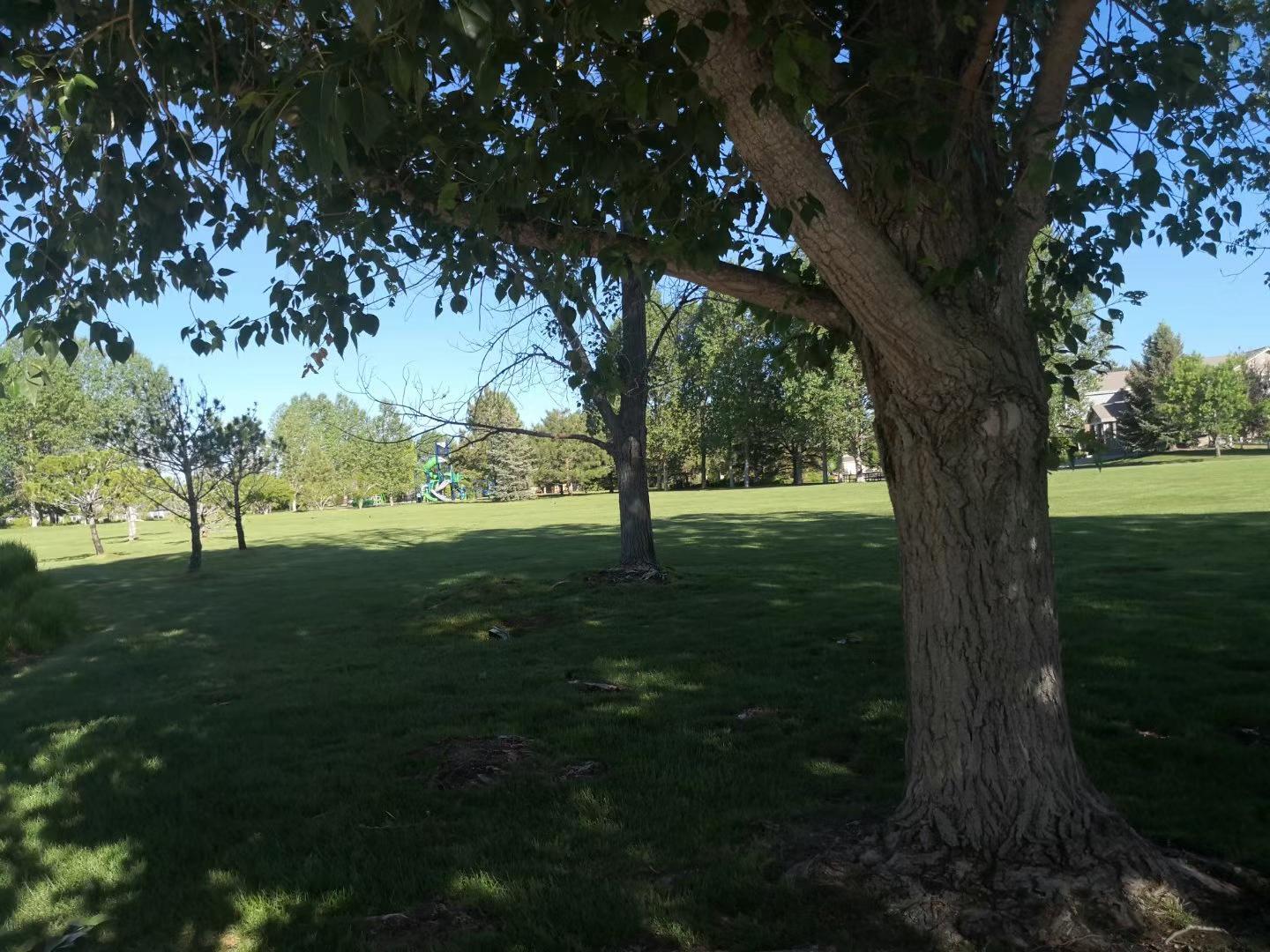 Building Photo - 12989 Ventana St