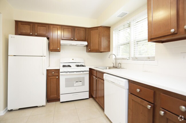 1 BR, 1 BA - kitchen - 209 S Oak Park Ave