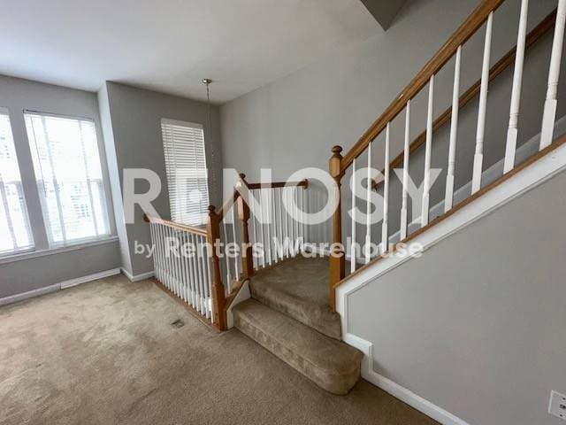 Building Photo - 2571 Vireo Ct