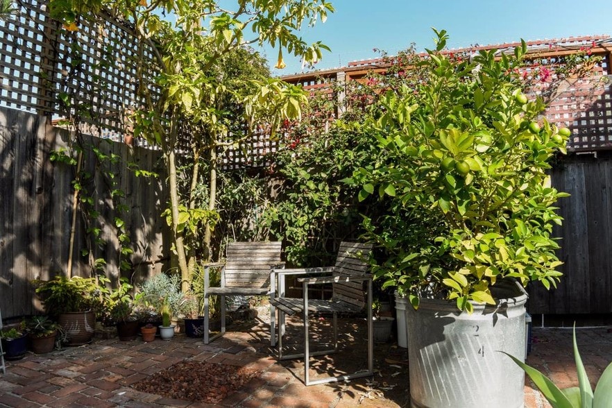 Fruit Trees! - 1135 Treat Ave