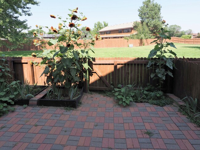 Patio - 1233 Warrior Way