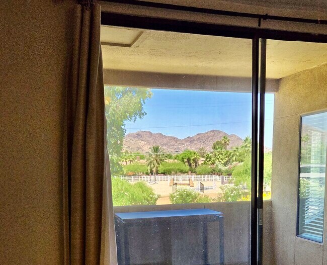 View from Master Bedroom - 7575 E Indian Bend Rd