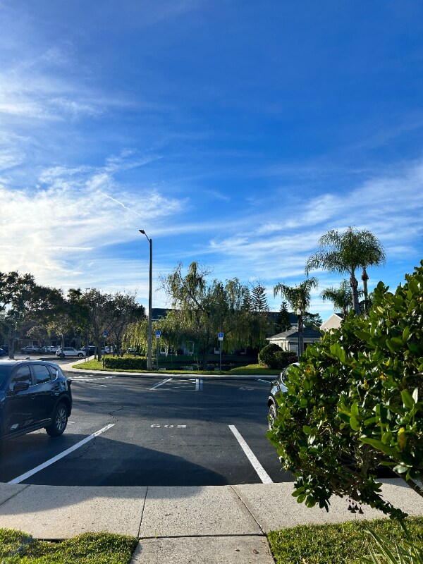 Building Photo - 211 Countryside Key Blvd