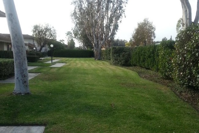 Huge Greenbelt in Front - 10147 Decima Dr