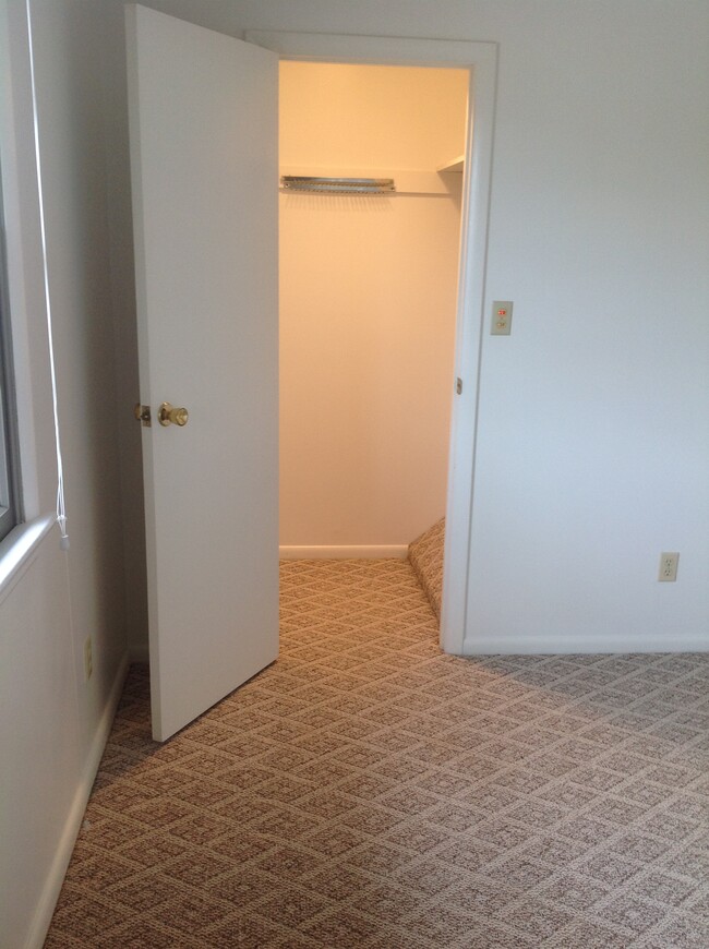 Walk in closet - 503 Lewis Ave