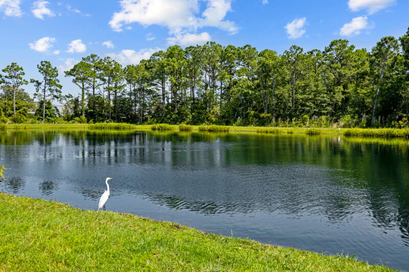 Building Photo - 307 Fishing Duck