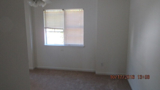 Building Photo - 113 Amelia Ct