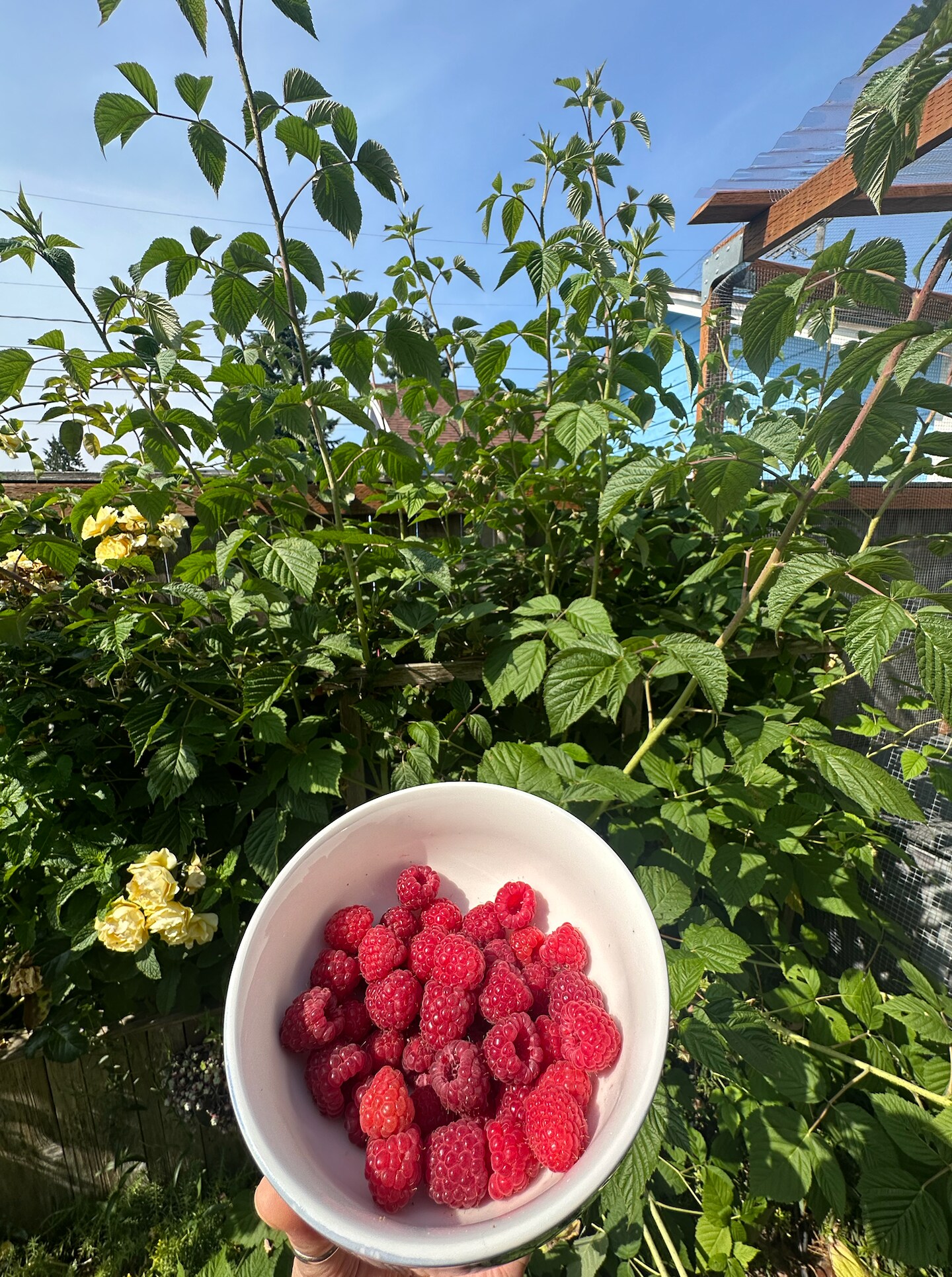 Building Photo - 701 S 59th St