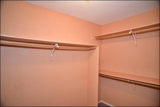 Building Photo - 2041 Shadow Ridge Dr