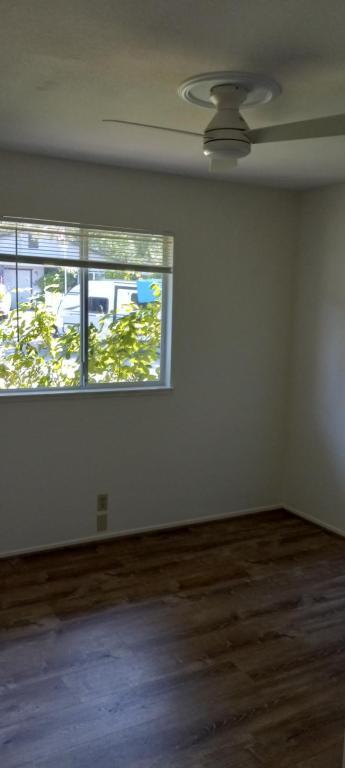 Building Photo - 541 Cappella Dr