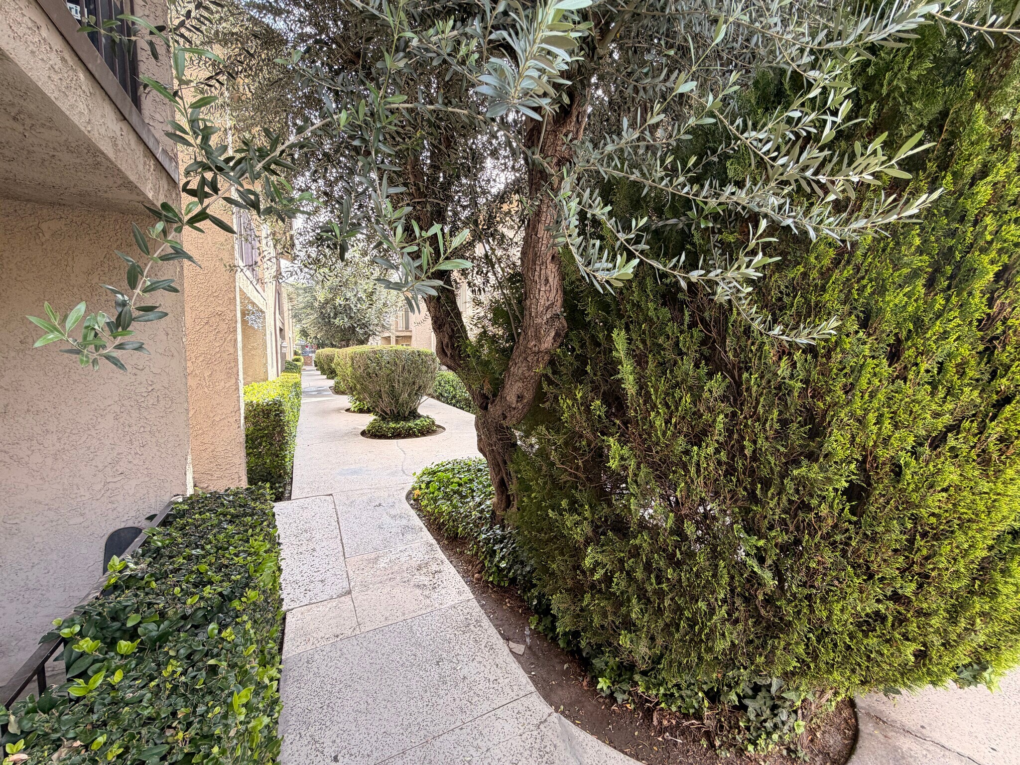 Building Photo - 24851 Walnut St