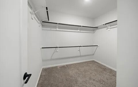 Building Photo - 334 S Cadence Hills Loop