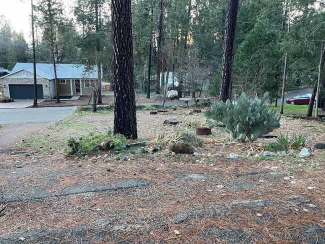 Building Photo - Two story 4 bedroom 2 bath home, Magalia