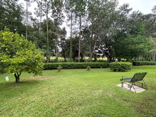 Building Photo - 1323 Ballesteros Dr