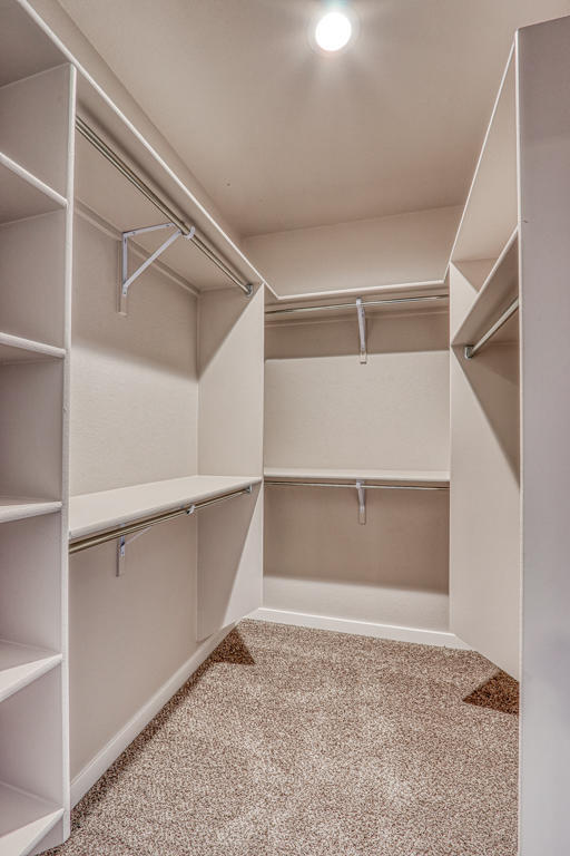 Building Photo - 409 Beech Tree Dr