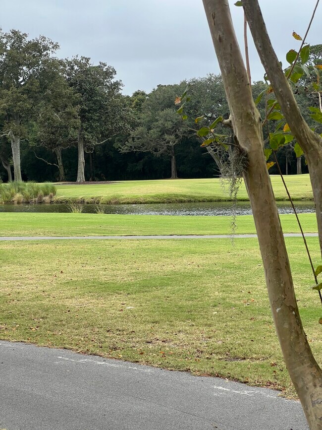 Building Photo - 60 Carnoustie Rd