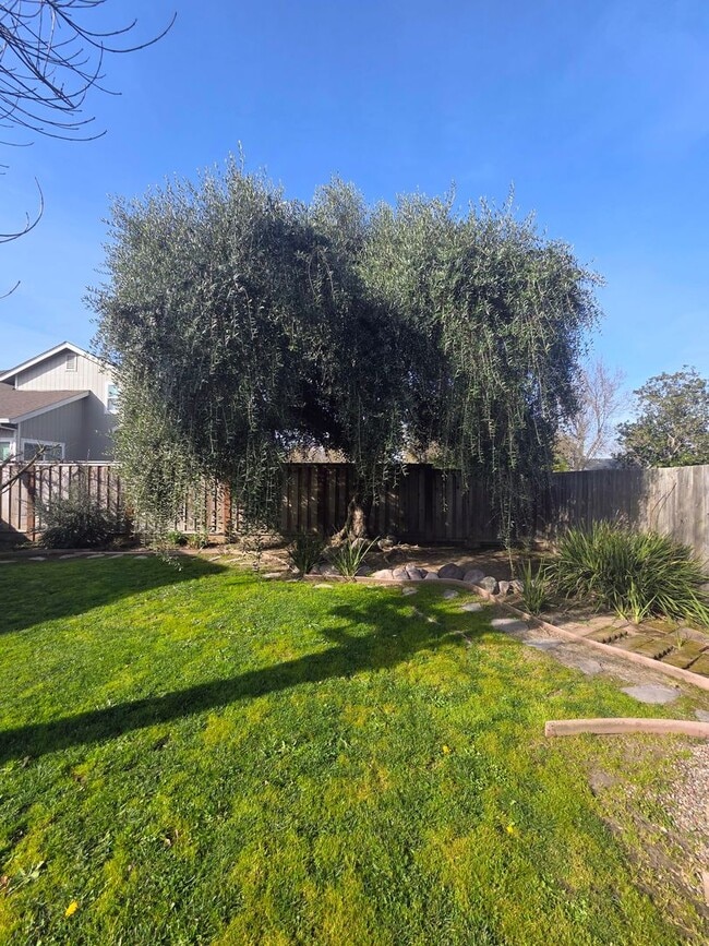 Building Photo - 3 bedroom 2 bathroom Cotati Gem