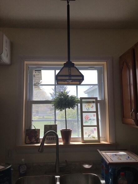 Window over sink - 37 Bernard St