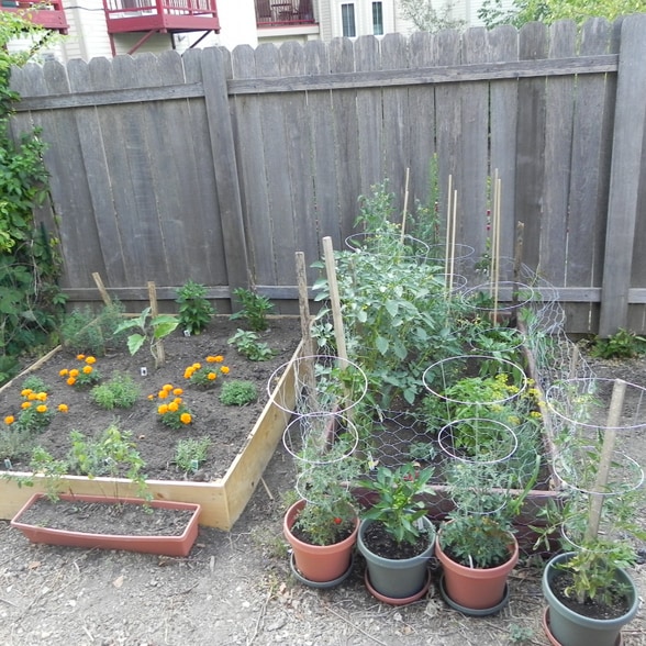 Building Photo - 1046 Jenifer St