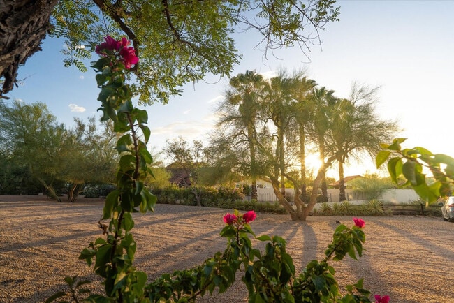 Building Photo - 6708 E Calle de Las Estrellas Rd