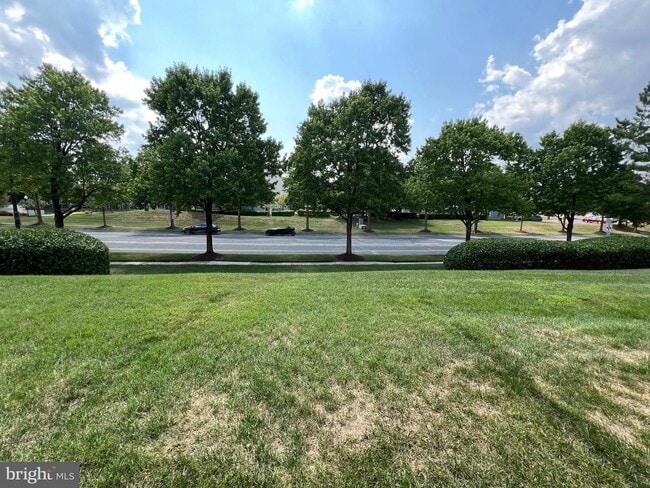 Building Photo - Gorgeous light filled 2 bedroom 2 bath con...