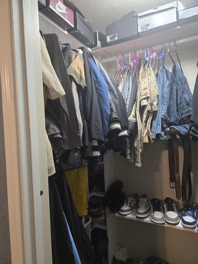 Building Photo - 3408 Lauren St