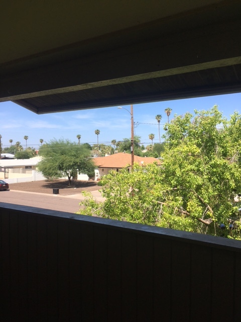 Own Patio View facing North - 729 W Coolidge St