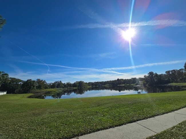 Building Photo - 2-Bedroom, 2-Bathroom Condo in Land O' Lakes