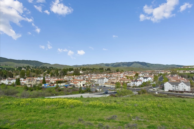 Building Photo - 4 Bed 5 Bath, Beautiful Home In Danville, With A Pool!