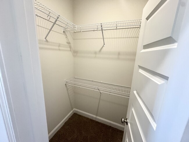 Building Photo - 522 Doyle Ln