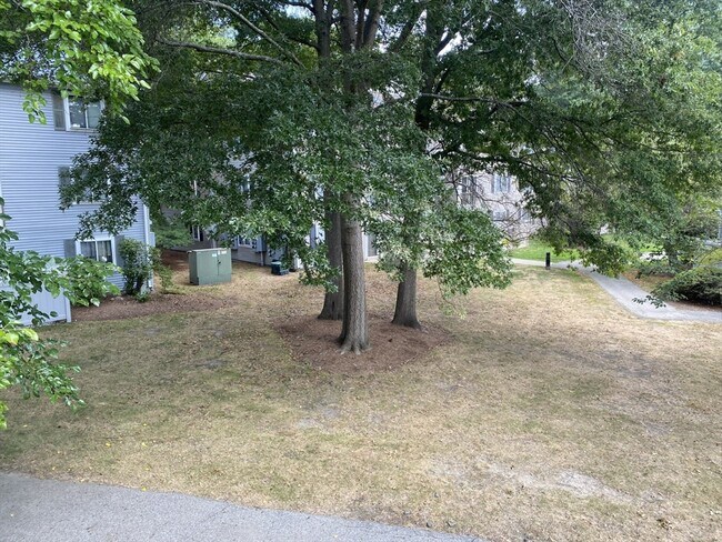 Building Photo - 14 Village Green Ln